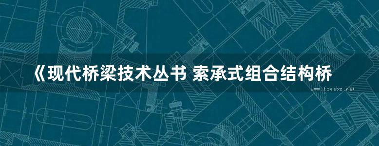 《现代桥梁技术丛书 索承式组合结构桥梁》邵长宇